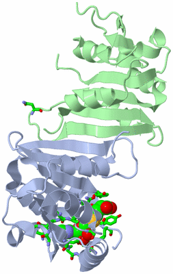 Image Asym./Biol. Unit - sites