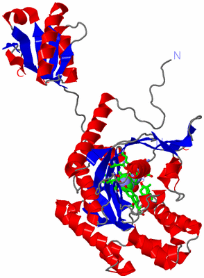 Image Asym. Unit - sites