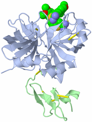 Image Biological Unit 1