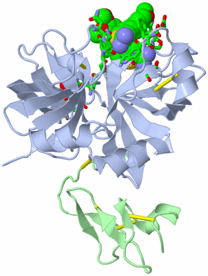 Image Biol. Unit 1 - sites