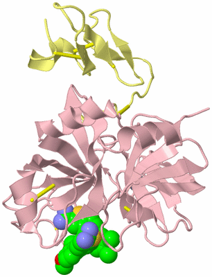 Image Biological Unit 2