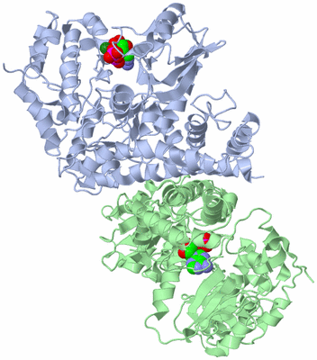 Image Biological Unit 1