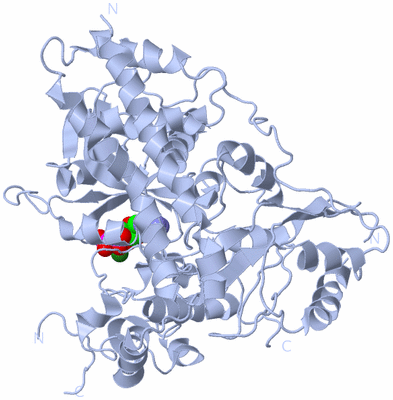 Image Biological Unit 2