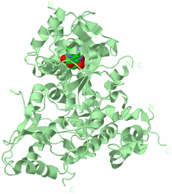 Image Biological Unit 3