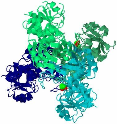 Image Asym./Biol. Unit