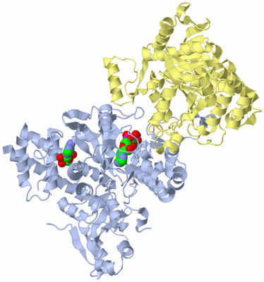 Image Biological Unit 1