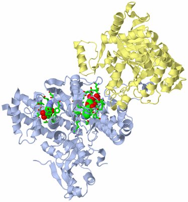 Image Biol. Unit 1 - sites