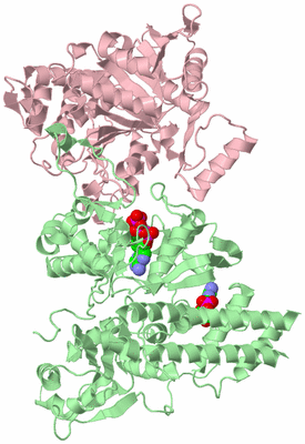 Image Biological Unit 2