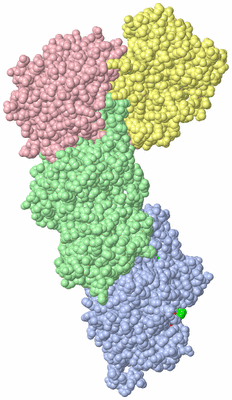 Image Asym. Unit - sites