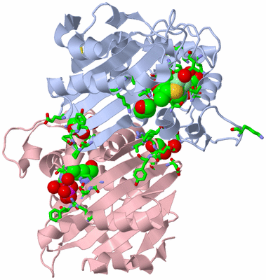 Image Biol. Unit 1 - sites