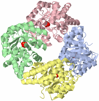 Image Asym./Biol. Unit