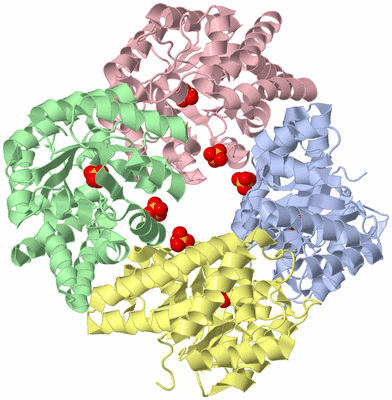 Image Asym./Biol. Unit