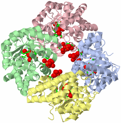 Image Asym./Biol. Unit - sites