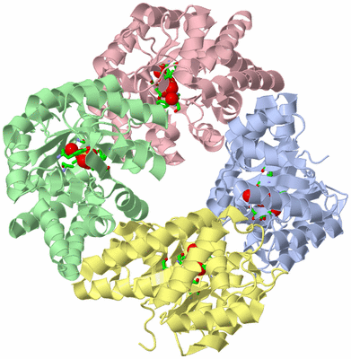 Image Asym./Biol. Unit - sites