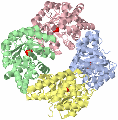 Image Asym./Biol. Unit