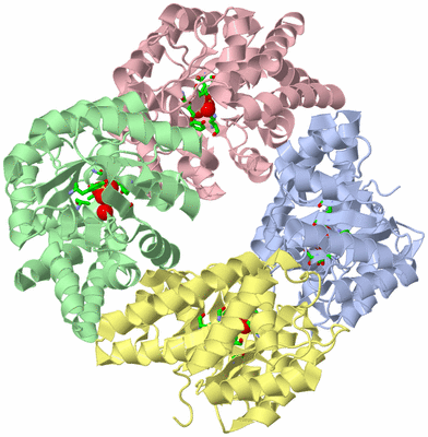 Image Asym./Biol. Unit - sites