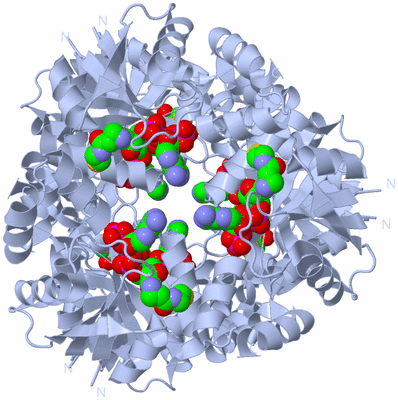 Image Biological Unit 1