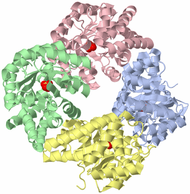 Image Asym./Biol. Unit