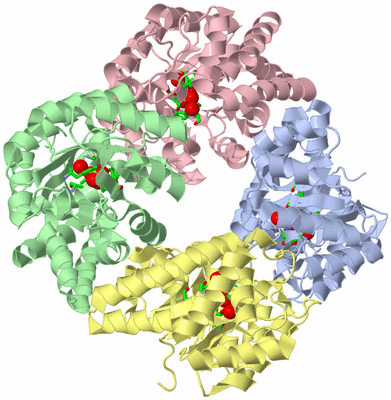 Image Asym./Biol. Unit - sites