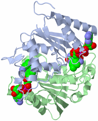 Image Biological Unit 1