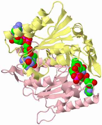 Image Biological Unit 2