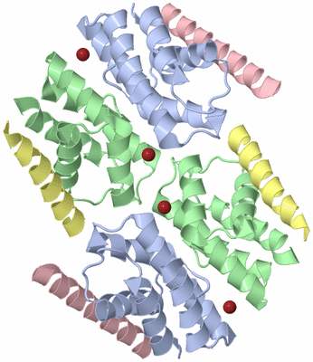 Image Biological Unit 3