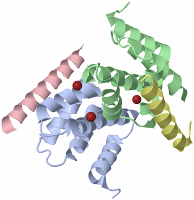 Image Biological Unit 4