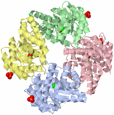 Image Asym./Biol. Unit