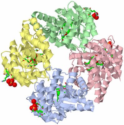 Image Asym./Biol. Unit - sites