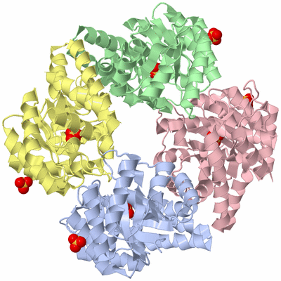 Image Asym./Biol. Unit