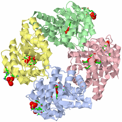 Image Asym./Biol. Unit - sites