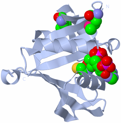 Image Biological Unit 1