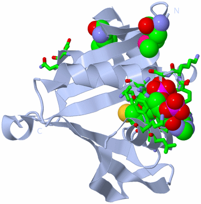 Image Biol. Unit 1 - sites