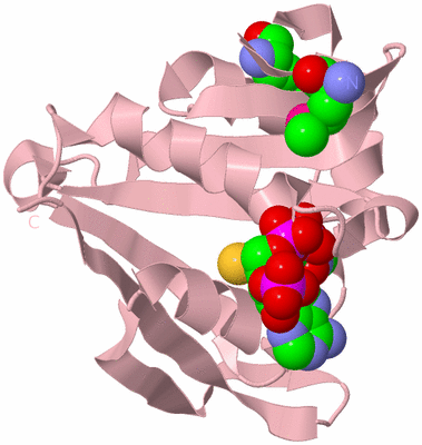 Image Biological Unit 3