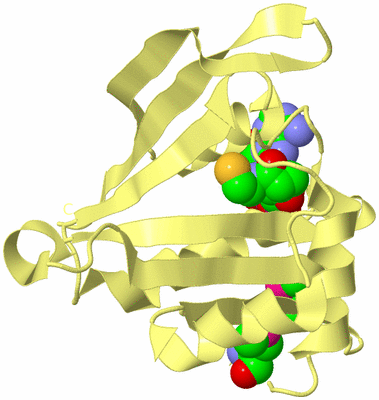 Image Biological Unit 4