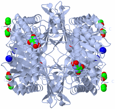 Image Biological Unit 1