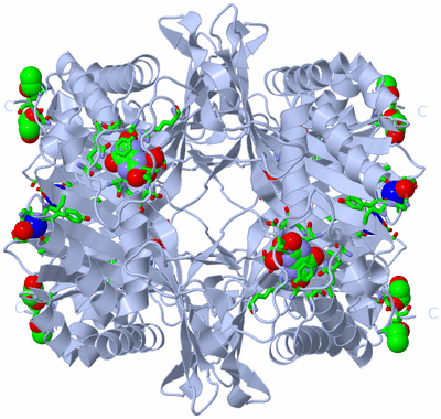 Image Biol. Unit 1 - sites