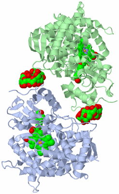 Image Biological Unit 1