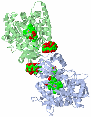 Image Biological Unit 2