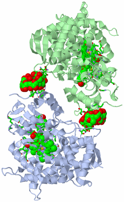 Image Asym. Unit - sites