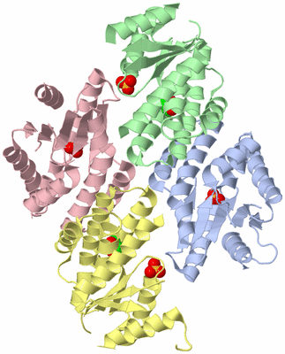 Image Asym./Biol. Unit