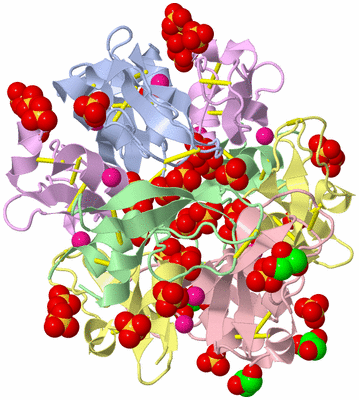 Image Biological Unit 1