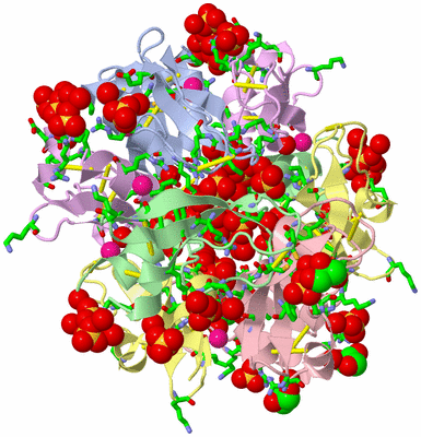 Image Biol. Unit 1 - sites