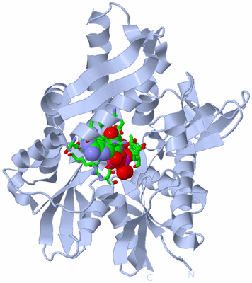 Image Biol. Unit 1 - sites