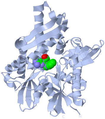 Image Biological Unit 1