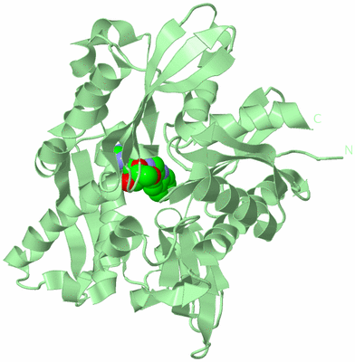 Image Biological Unit 2