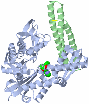 Image Asym./Biol. Unit