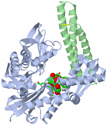 Image Asym./Biol. Unit - sites