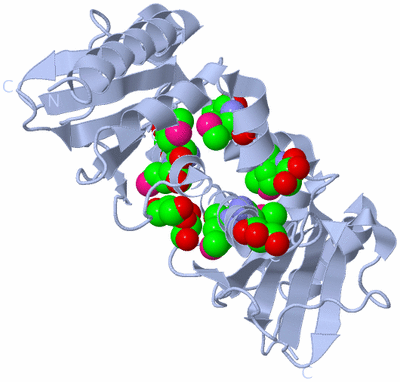 Image Biological Unit 1