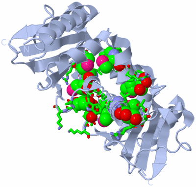 Image Biol. Unit 1 - sites